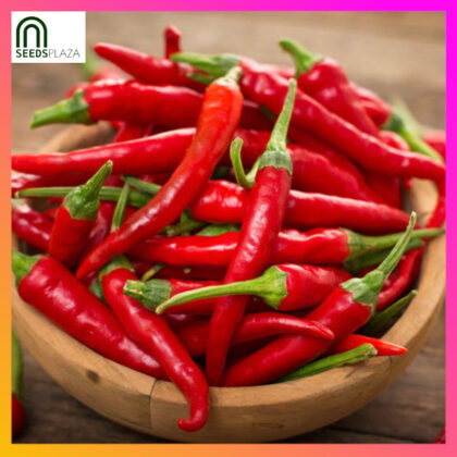 <strong>Siling Labuyo</strong><br>(50 Seeds)<br><span style="font-size: 0.7em; font-weight: normal;">incl. Planting Instructions</span>