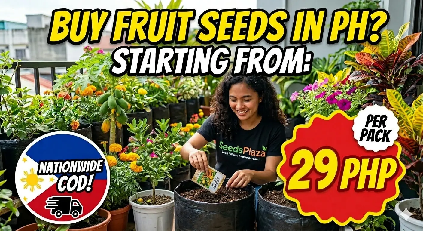 Fruit Seeds