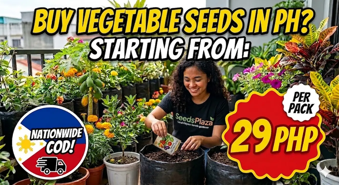 Vegetable Seeds