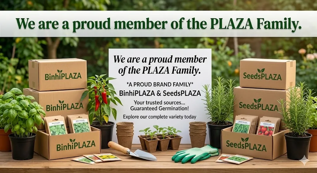 Organic vegetable gardening in Imus with SeedsPLAZA seeds